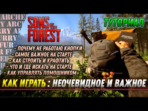 Видео: КАК ИГРАТЬ В Sons of The Forest