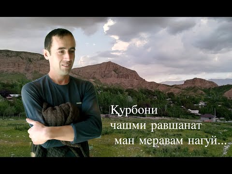 Видео: Матин Аминов (Дар туй)