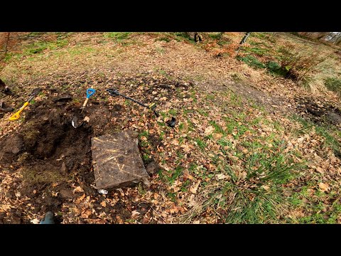 Видео: такой находки ещё ни у кого не было