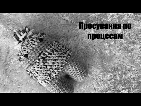 Видео: Просування по процесам/ кардиган спицями, гачком / іграшки / дюна.