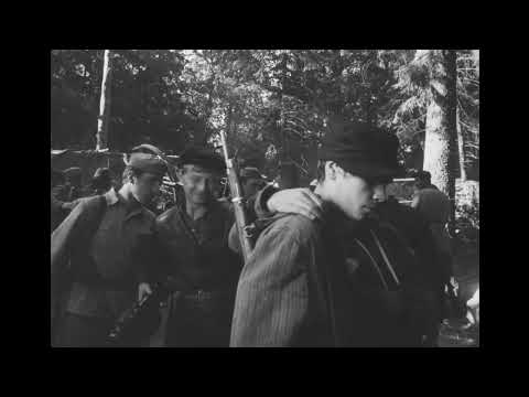 Видео: Сыновья уходят в бой (1969) Драма