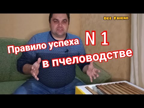 Видео: Это правило N 1 приведет к успеху. Главный секрет успеха в пчеловодстве.