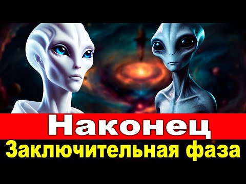 Видео: Приближается момент! Подготовься к великому событию, Звездный Работник Света.