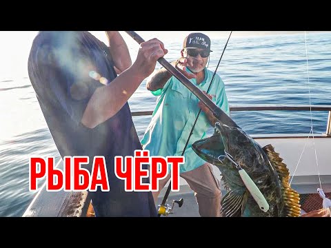 Видео: Ловим ГЛУБОКОВОДНЫХ Монстров! #спортивнаярыбалка