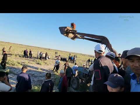 Видео: 28 август Shimbay Ылак Ойыны