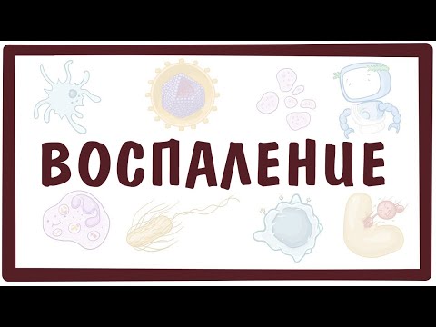 Видео: ВОСПАЛЕНИЕ — причины, симптомы, патогенез