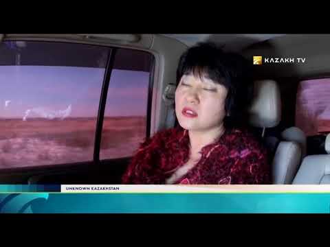 Видео: Как искать сокровища в степи?