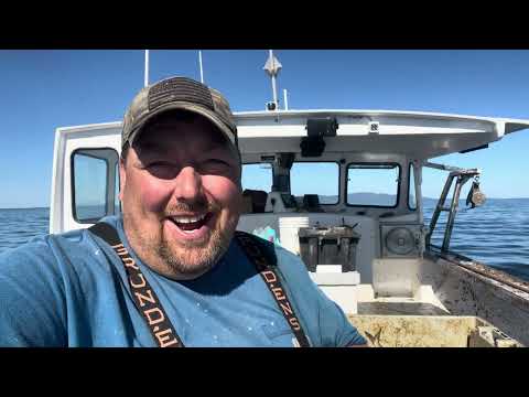 Видео: «Еще один прекрасный день» Лобстерство!