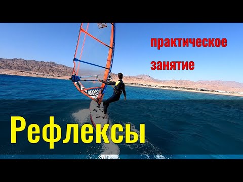 Видео: Рефлексы/практическое занятие