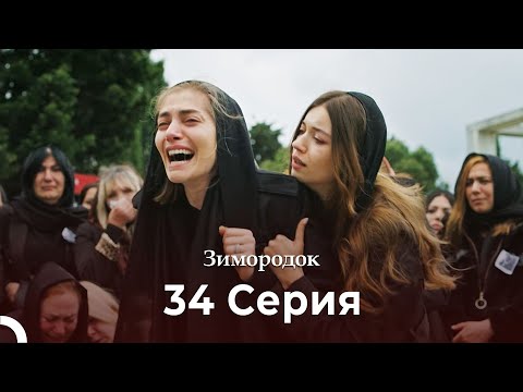 Видео: Зимородок 34 Cерия (Русский дубляж) (4K)