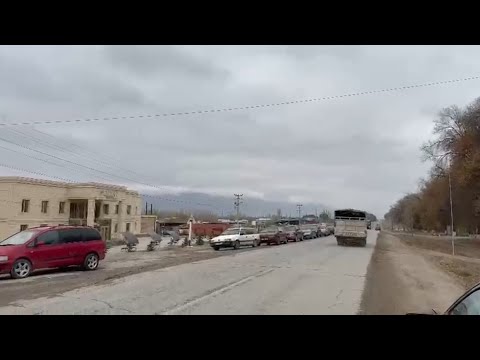 Видео: Таластын тургундары төө буурчак сатуу үчүн 2 күндөн кезек күтүп жатышат