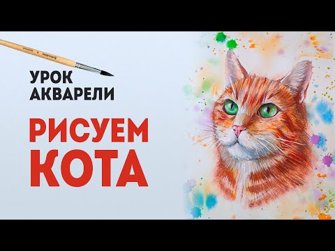 Видео: КАК НАРИСОВАТЬ КОТА? Акварель мастер класс (простые рисунки).