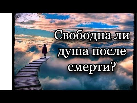 Видео: Этому есть множество примеров..Протоиерей  Андрей Ткачёв.