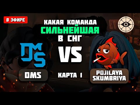 Видео: Турнир Maelstorm Masters Лучшие команды мира в битве за кубок