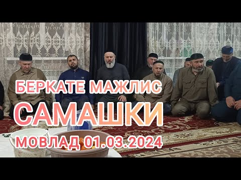 Видео: В САМАШКИ. Мовлад Босой тоба, Леча, Сулим, Ахьмад, Диди