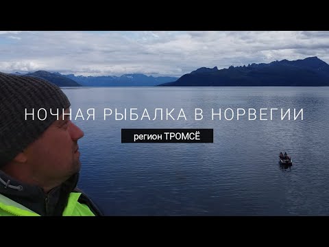 Видео: Ночная рыбалка в Норвегии  - регион Тромсё. Трофейная сайда и трофейная треска.