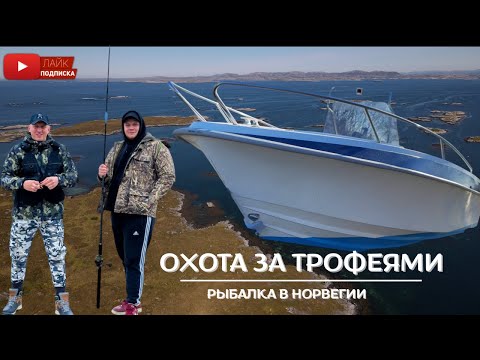 Видео: ОХОТА за трофеями в Норвегии ! Рыбалка с лодки.