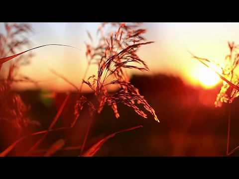 Видео: Геннадий Белов - Я возьму этот большой мир