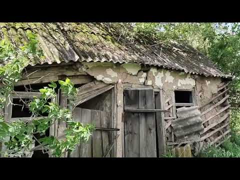 Видео: Продажа земельного участка 40 соток на Кубани