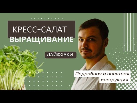 Видео: Кресс-салат Особенности технологии выращивания | Народные Семена