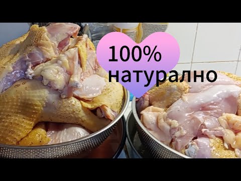 Видео: Натурално пилешко месо...колим бройлери.