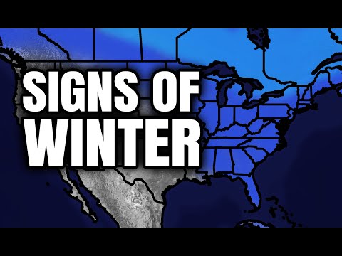 Видео: Признаки ЗИМЫ проявятся в начале ноября...