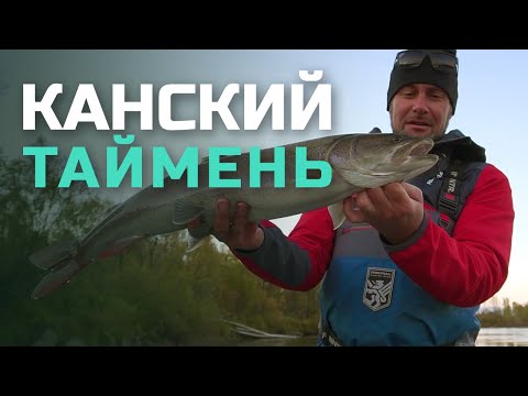 Видео: Канский ТАЙМЕНЬ | Распаковка FINNTRAIL AQUAMASTER BLUE