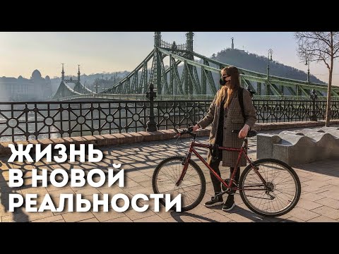 Видео: Жизнь в Будапеште в новой реальности