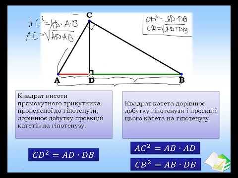 Видео: Метричні співвідношення у прямокутному трикутнику