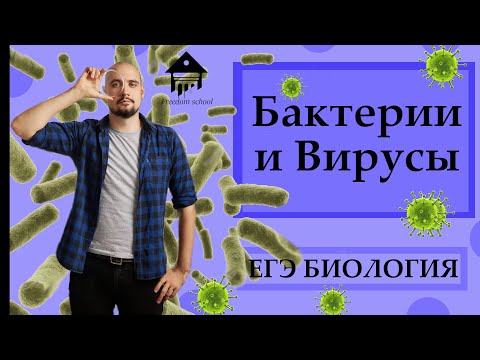 Видео: БАКТЕРИИ И ВИРУСЫ для ЕГЭ |ЕГЭ БИОЛОГИЯ|Freedom|