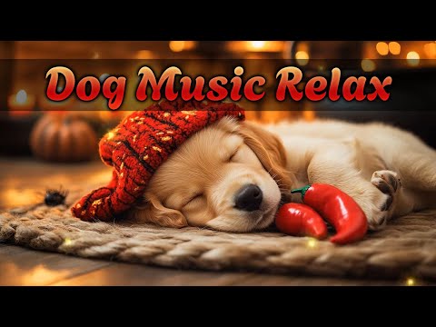 Видео: Музыка для глубокого сна собак 🎵 | Расслабляющие мелодии, чтобы успокоить тревожных питомцев и облег