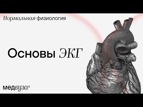 Видео: Основы ЭКГ | сегменты, интервалы и зубцы | Нормальная физиология