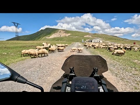 Видео: Мотопутешествие . Грузия. Часть 2 . BMW GS F 850 . Август 2025