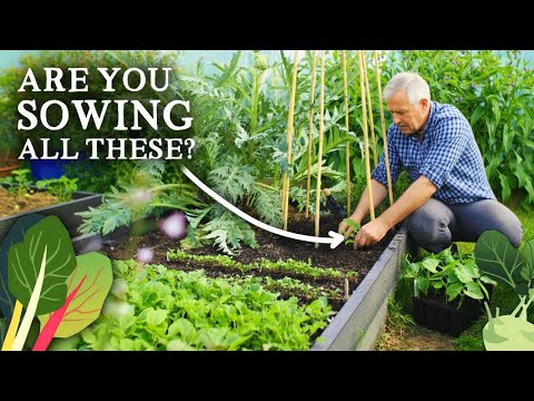 Видео: 15 овощей и трав, которые нужно обязательно посеять в конце октября