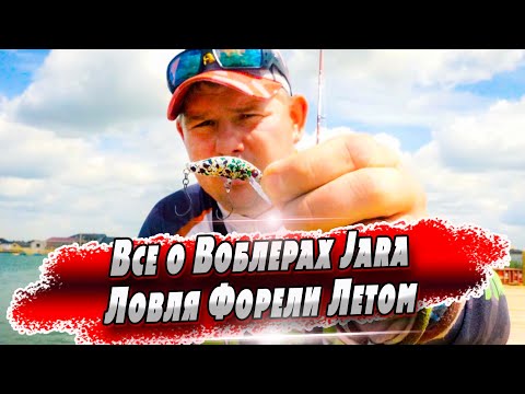 Видео: Летняя форель | Воблеры Trout Jara Baits