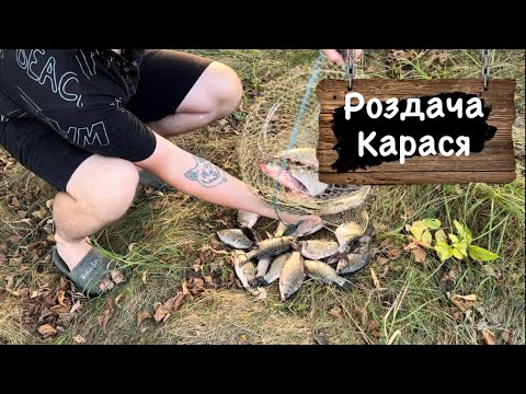 Видео: Активна риболовля на карася / Хороший улов / Південний Буг #15