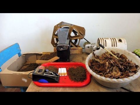 Видео: Эксперимент ферментация табака,что лучше 5 или 14 дней.