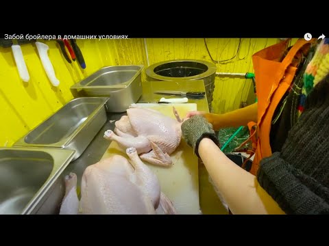 Видео: Забой бройлера в домашних условиях/бройлеры как бизнес/бойня в лпх