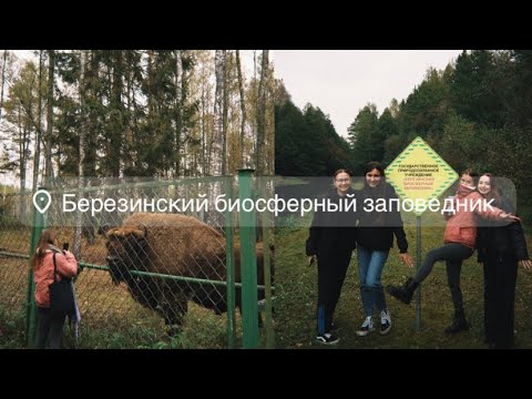 Видео: влог: ходили по болотам и жили в охотничьем домике