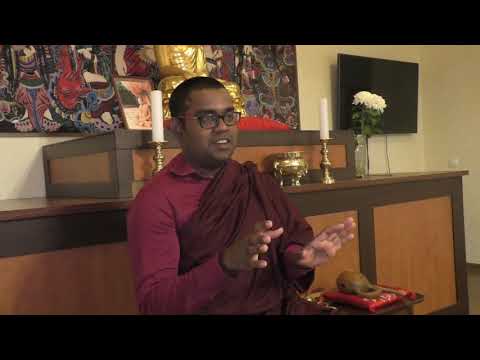 Видео: Бханте Сири Сарана. Пять Ниям. Москва 2018.