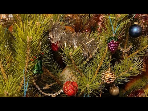 Видео: Как мы Встретили Новый 2024год!КАСЛИ!РОДНЯ!ДРУЗЬЯ!