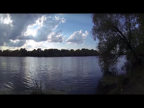 Видео: ЛОВЛЯ СОМОВ В МОСКВЕ . ОТЛИЧНЫЙ ОТДЫХ НА РЕКЕ . МОСКВА РЕКА