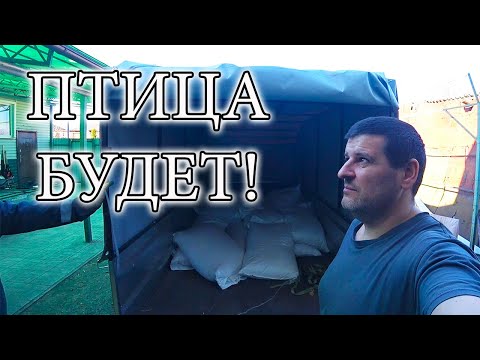 Видео: ЗАГОТОВКА КОРМОВ ДЛЯ ПТИЦЫ 2025