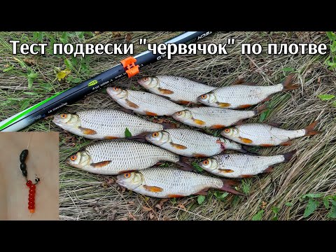 Видео: 12 августа 2023. Подвеска для мормышки "червячок". Тест по плотве. Боковой кивок.