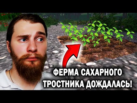 Видео: ПОСАДИЛ САЖЕНЦЫ САХАРНОГО ТРОСТНИКА!  -  Voices of the Void №39