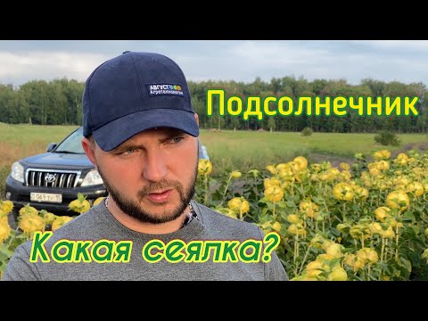 Видео: Какой сеялкой сеять подсолнечник?