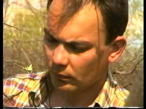 Видео: Прививка и перепрививка растений