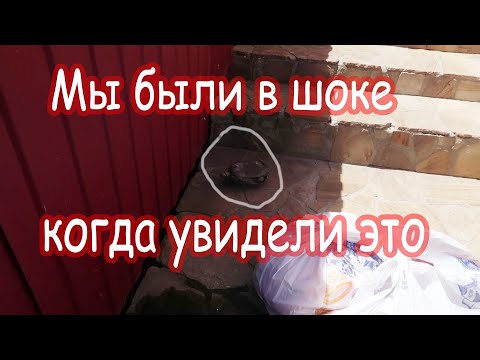 Видео: VLOG Шопинг с Ларисой