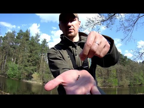 Видео: Немного о том чем ловлю. Боковой кивок. Глухая оснастка.