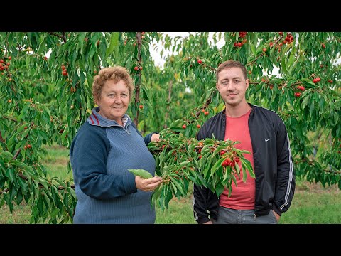 Видео: МИГ Тутракан-Сливо Поле: Успешни проекти в села, които се възраждат (епизод 2)